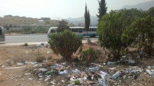 gare-routiere-tipaza5