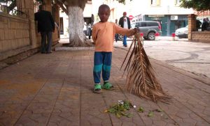 afrique-cherchell2