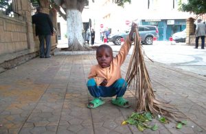 afrique-cherchell3